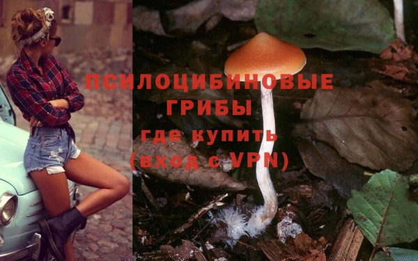PSILOCYBIN Алексеевка