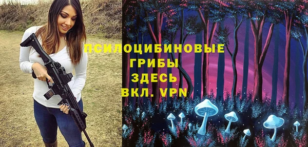 PSILOCYBIN Алексеевка