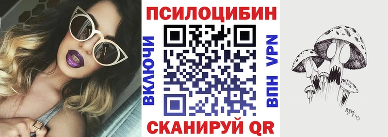 закладки Лахденпохья Галлюциногенные грибы Psilocybine cubensis
